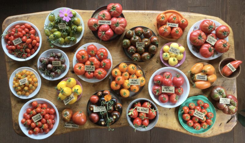 MELANGES DE TOMATES à 5€